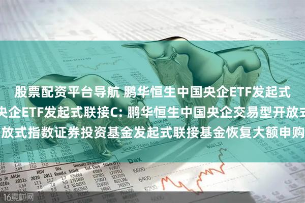 股票配资平台导航 鹏华恒生中国央企ETF发起式联接A,鹏华恒生中国央企ETF发起式联接C: 鹏华恒生中国央企交易型开放式指数证券投资基金发起式联接基金恢复大额申购、定期定额投资业务的公告